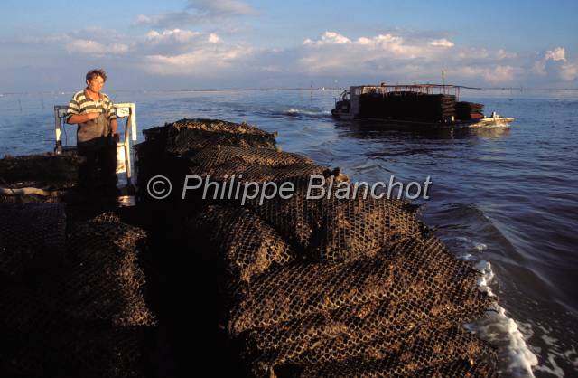 huitre oleron 07.JPG - Ostréiculteur sur son chaland rentrant au port au coucher de soleilMarennes Oléron, France
